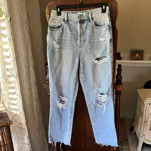 Pacsun distressed hi rise size 27 mom jeans